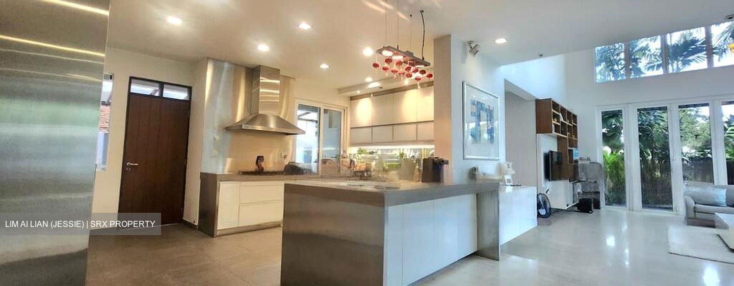 Toh Estate (D17), Detached #459129691